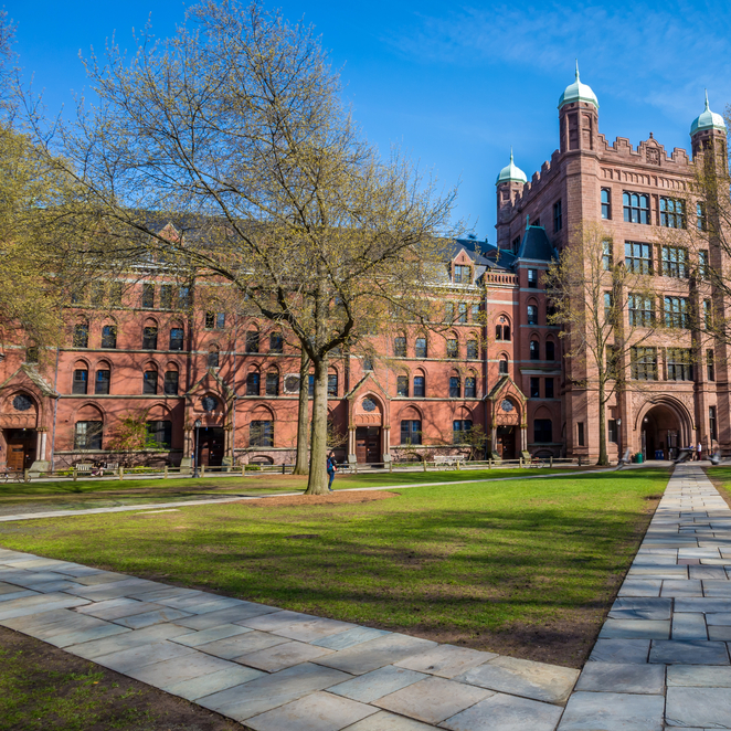 University offer letter review enrolment support — overseas education consultants UAE